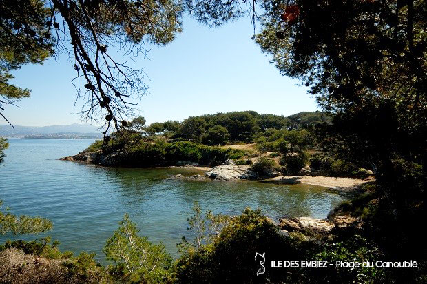 Ile des Embiez - Plage du Canoubié plages et criques de l'île des embiez